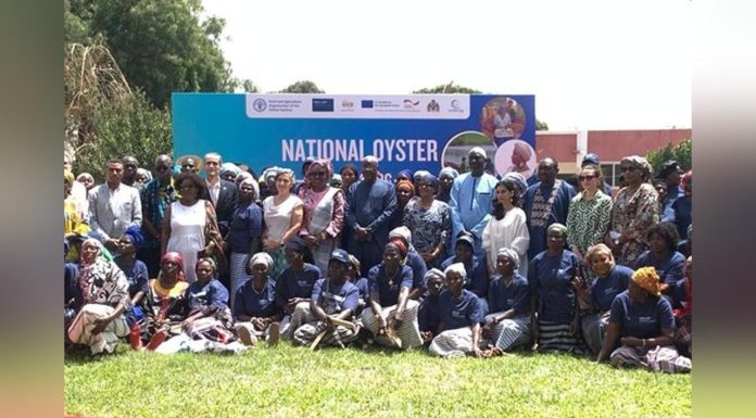 FAO Hosts National Oysters’ Day 2026 to Advance Value Chain FAO Hosts National Oysters’ Day 2026 to Advance Value Chain