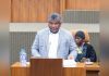 Health Minister Reports 30 Maternal Deaths in 2025 Health Minister Reports 30 Maternal Deaths in 2025