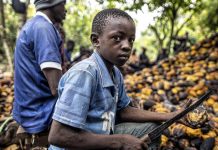 Stop child labour on cocoa farms – COCOBOD Boss warns farmers