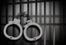 Operation Vanguard arrest 20 Chinese illegal miners