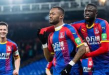 Ayew, Schlupp in action as Crystal Palace suffer defeat to Tottenham