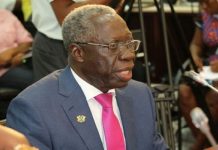 Ghana now imports flowers from SA – Osafo Maafo laments high importation rate