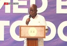 Desist from fighting, backbiting during primaries – Nana Addo to NPP