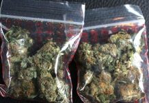 Ghana to rake in US$56 million from cannabis deal