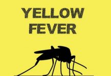 Suspected Yellow Fever Outbreak: Eight persons die in Savannah Region – GHS Suspected Yellow Fever Outbreak: Eight persons die in Savannah Region - GHS