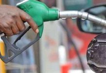 Fuel prices may remain stable for rest of November — IES predicts Fuel prices may remain stable for rest of November — IES predicts