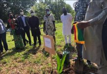 Interplast supports Diplomatic Garden with irrigation Interplast supports Diplomatic Garden with irrigation