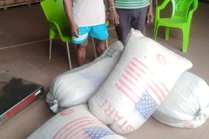 Anti-Cocoa Smuggling Taskforce busts two smugglers Anti-Cocoa Smuggling Taskforce busts two smugglers