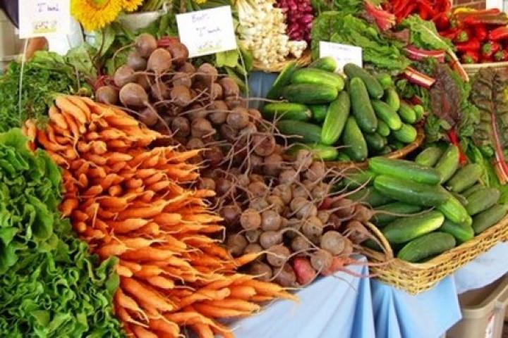 Agricultural Economists Call for Sustainable Food Systems in Ghana