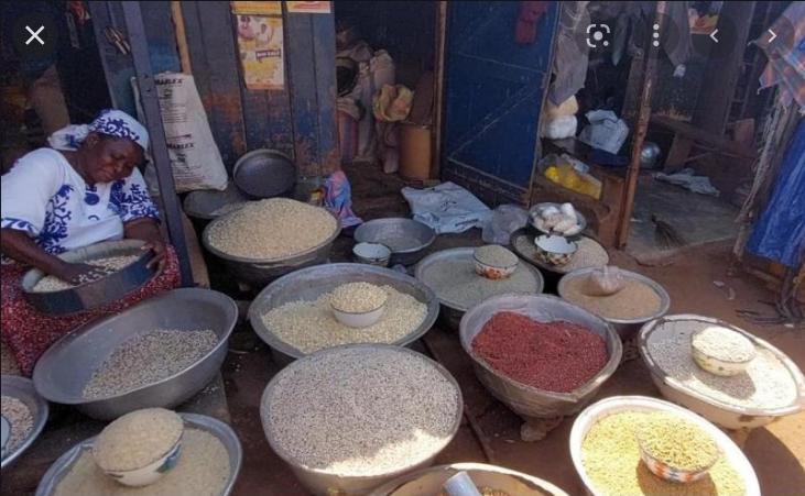 Agricultural Economists Call for Sustainable Food Systems in Ghana Agricultural Economists Call for Sustainable Food Systems in Ghana