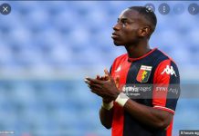 Genoa place survival hopes on Ghanaian forward Kelvin Yeboah Genoa place survival hopes on Ghanaian forward Kelvin Yeboah