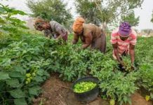 Farmers trained in climate smart agriculture Farmers trained in climate smart agriculture