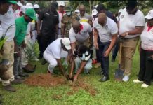 Asantehene whips up interest in tree planting Asantehene whips up interest in tree planting