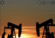 Environmentalists join forces to fight ‘carbon bomb’ fossil fuel projects Environmentalists join forces to fight ‘carbon bomb’ fossil fuel projects