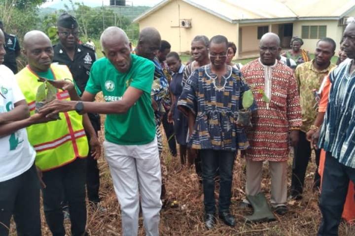 South Dayi targets planting 10 acres of trees this year