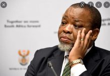 5 important things happening in South Africa today 5 important things happening in South Africa today