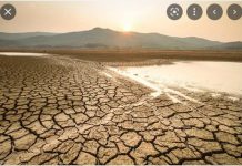 Stakeholders urged to support Ghana land restoration strategies Stakeholders urged to support Ghana land restoration strategies