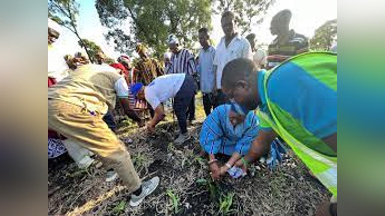 Ghana: UNDP Launches U.S.$1 Million Onetreeplanted Programme to Restore the Black Volta Landscape