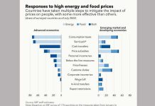 Fiscal policy can help people rebound from cost of living crisis Fiscal policy can help people rebound from cost of living crisis