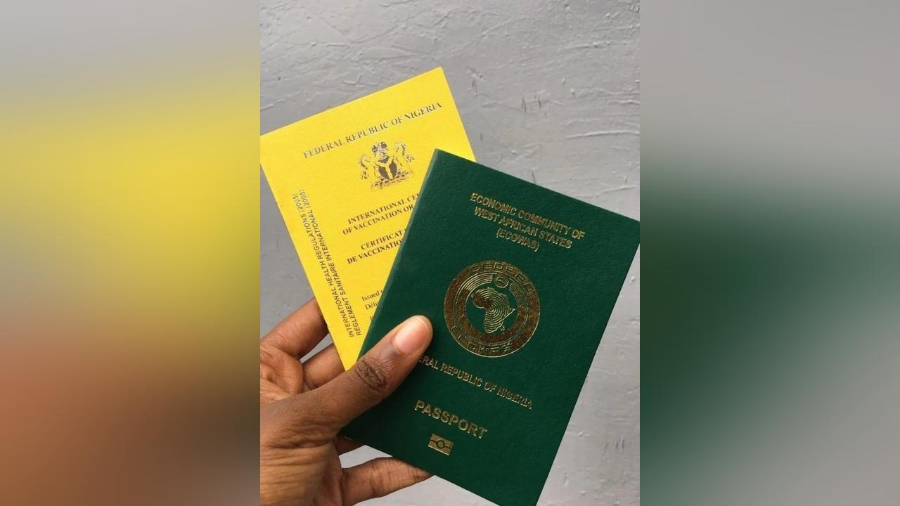 passport-it-is-illegal-to-patronise-goro-boys-services-mr