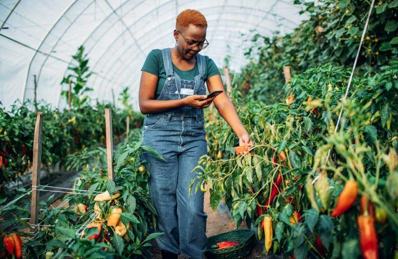 Stakeholders calls for finance for youth participation in agriculture Stakeholders calls for finance for youth participation in agriculture