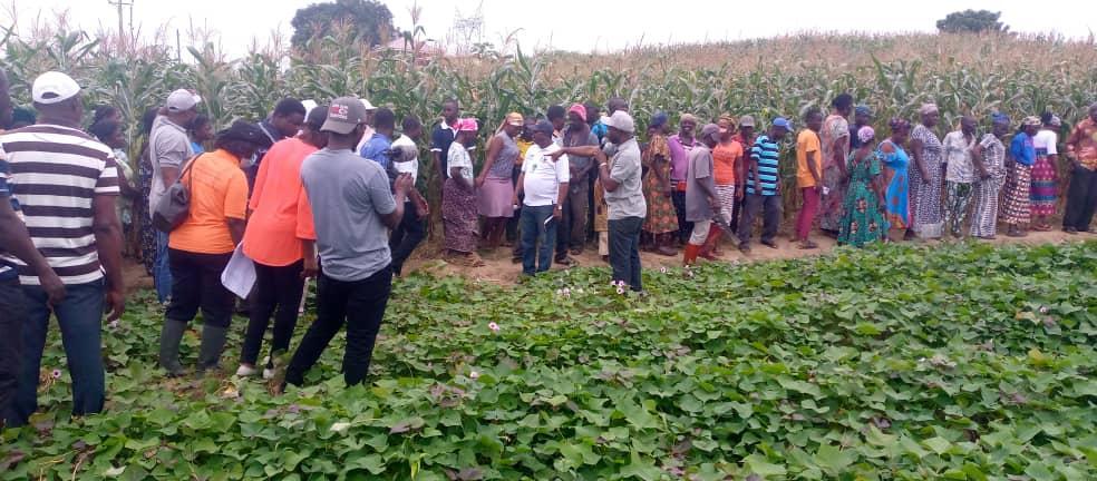 Equipment sent to Guan District for ecotourism, agriculture Equipment sent to Guan District for ecotourism, agriculture