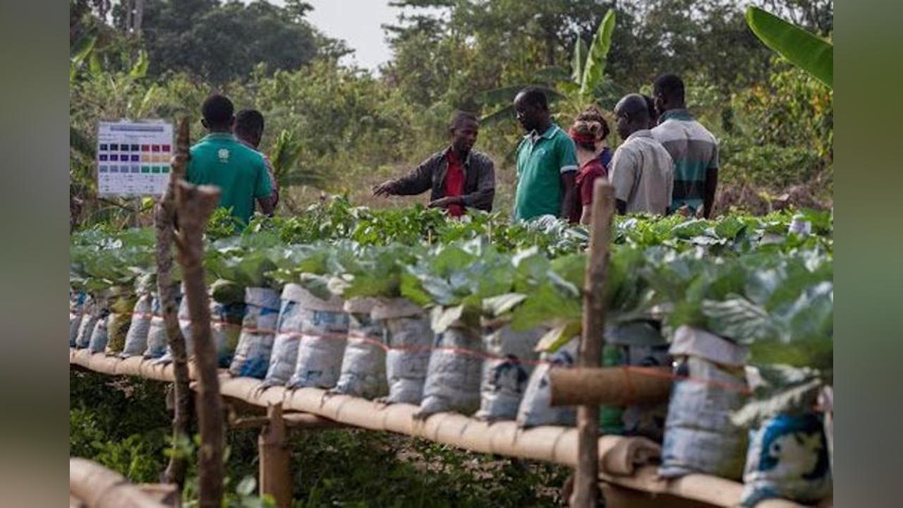 10 Reasons Why Local Agro-Economic Clusters should Choose Local Buyers 10 Reasons Why Local Agro-Economic Clusters should Choose Local Buyers