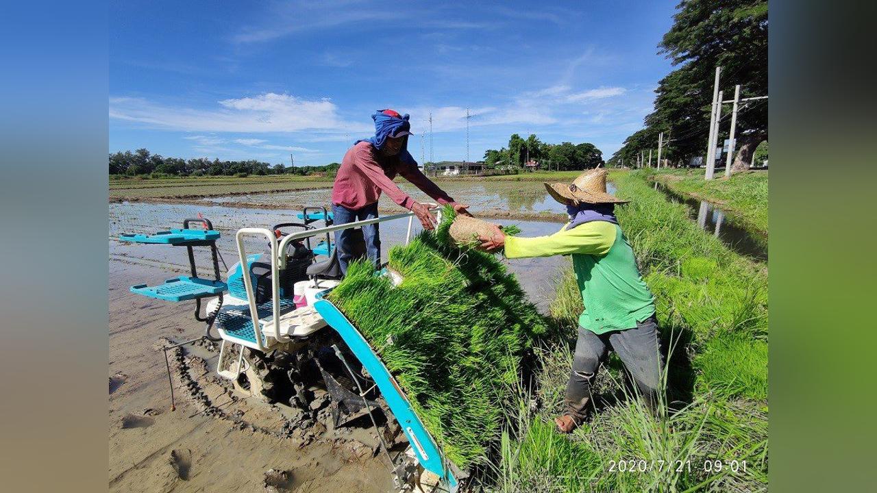 Farmers in Yendi appeal for Mechanisation service centre Farmers in Yendi appeal for Mechanisation service centre