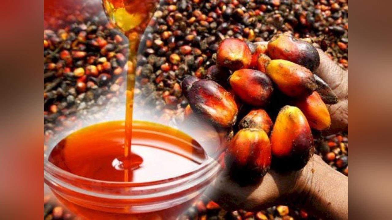 Tafi Dekpor: Women in palm oil business cry for help Tafi Dekpor: Women in palm oil business cry for help
