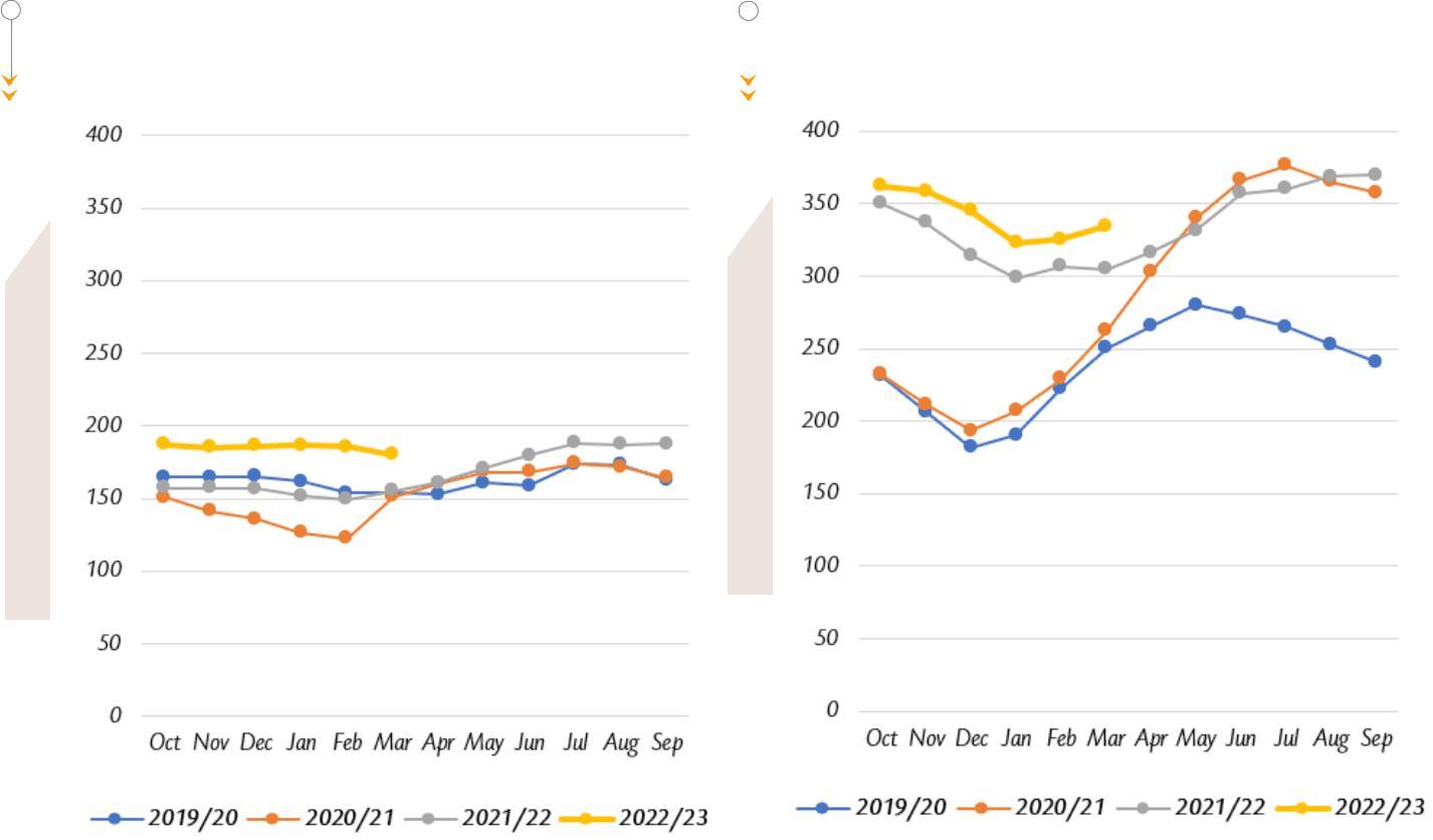 Cocoa market report Cocoa market report
