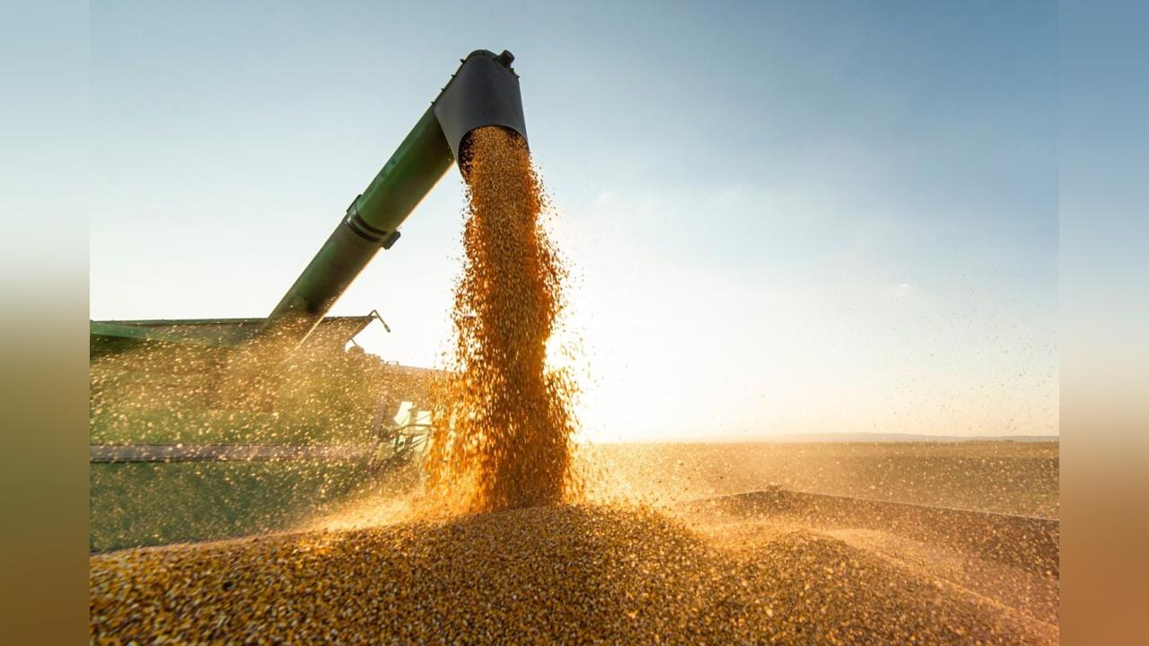 Ghana’s food production projected to dip amid Climate Crisis Ghana’s food production projected to dip amid Climate Crisis