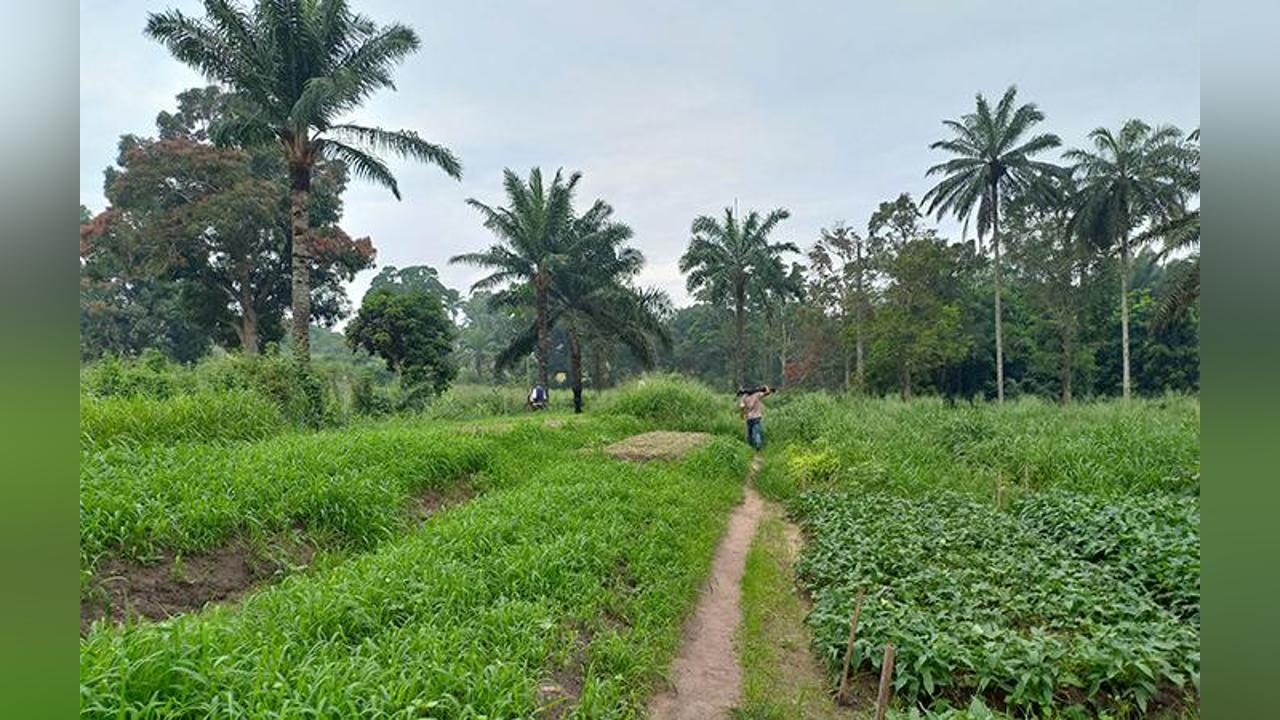 GAWU will continue to engage government on agricultural policies GAWU will continue to engage government on agricultural policies