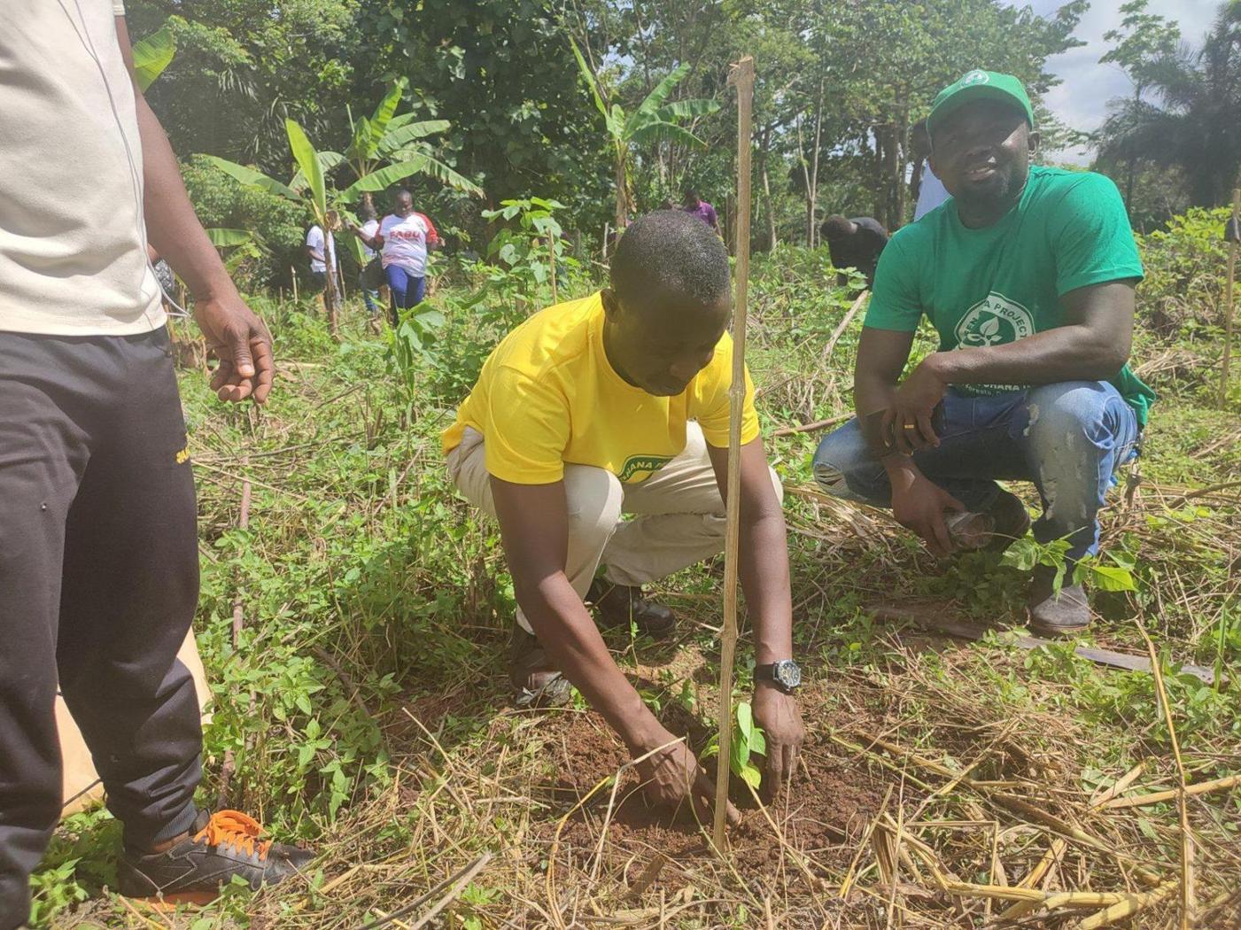 ‘Chiraahene’ appeals to investors to invest in afforestation - Ghana