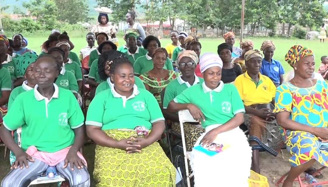 Gold Fields Ghana Foundation supports 240 cocoa farmers Ghana