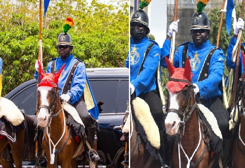 ghana-police-posthumously-promotes-ceremonial-horse-to-sergeant-ghana