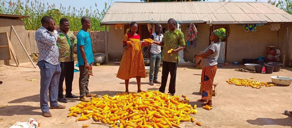 CSIR-SARI, MOFA expose farmers to maize, soya beans technologies CSIR-SARI, MOFA expose farmers to maize, soya beans technologies