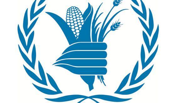 WFP demands investment in climate adaptation for survival WFP demands investment in climate adaptation for survival