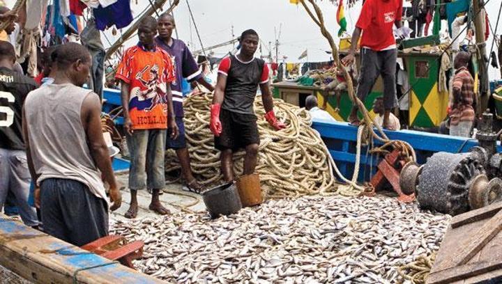 Manage fisheries sector sustainably for economic development – Minister Manage fisheries sector sustainably for economic development – Minister