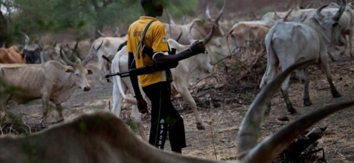 Nomadic herdsmen in Oti Region given one month to move cattle out of the region Nomadic herdsmen in Oti Region given one month to move cattle out of the region