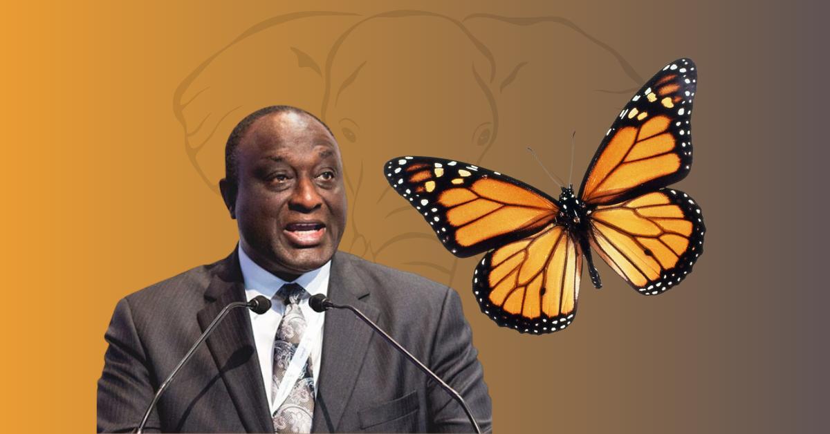 Alan picks butterfly as symbol for new ‘party’ Alan picks butterfly as symbol for new ‘party’