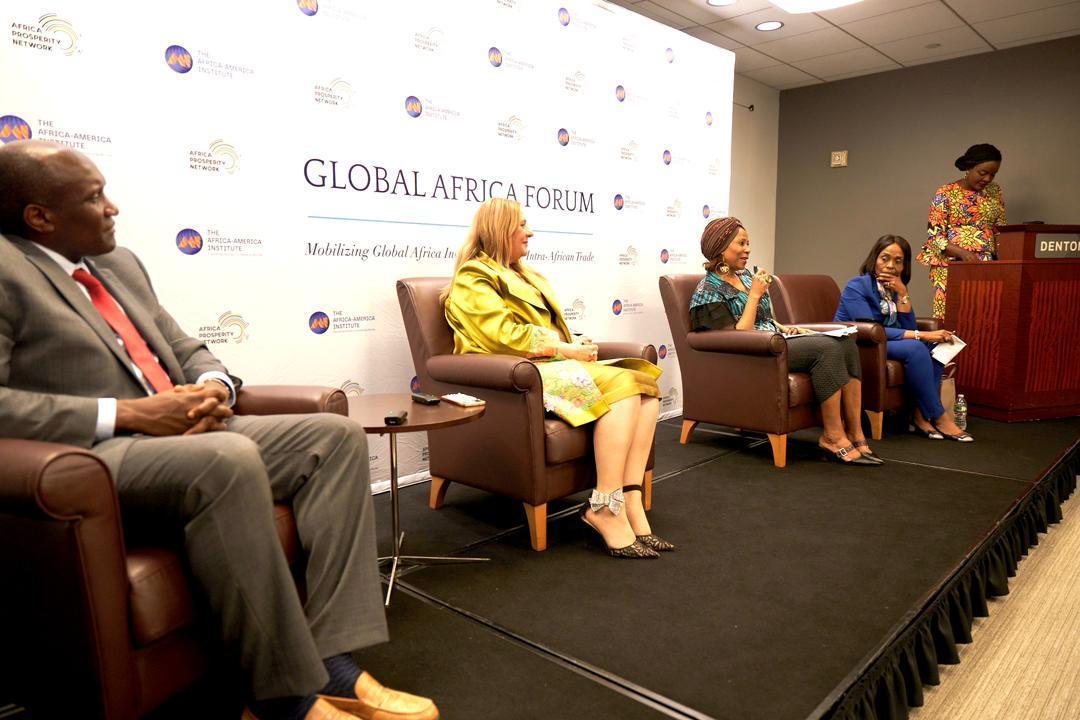 Global Africa Network launched at the maiden Global Africa Forum in New York Global Africa Network launched at the maiden Global Africa Forum in New York