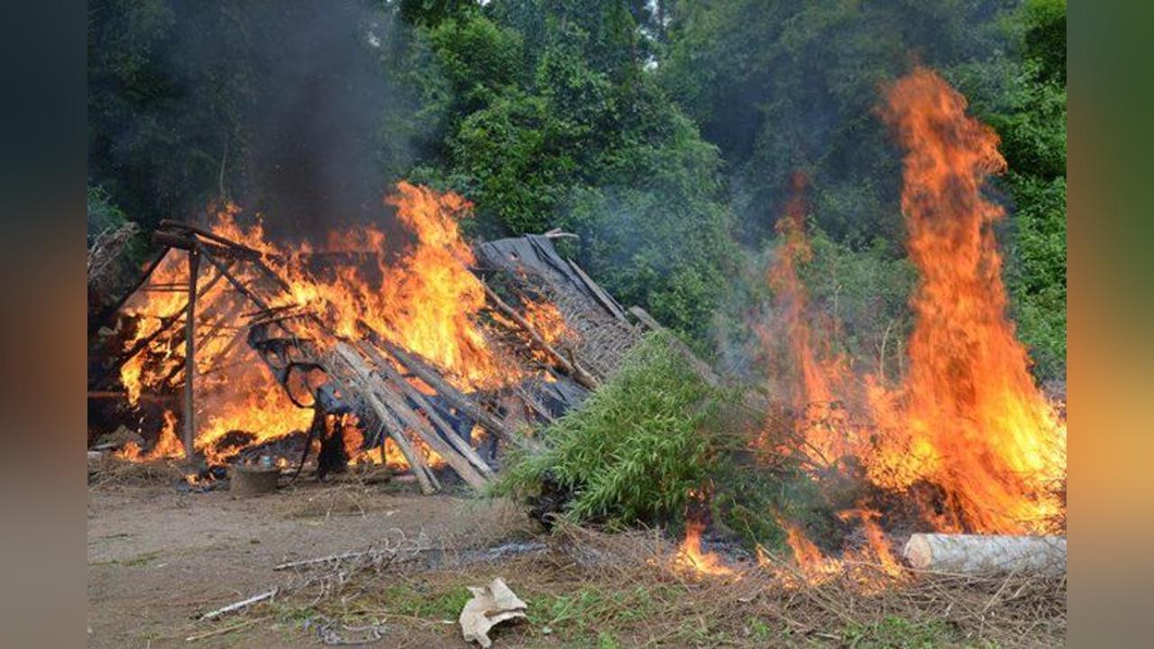 Public warned against open burning of waste Public warned against open burning of waste