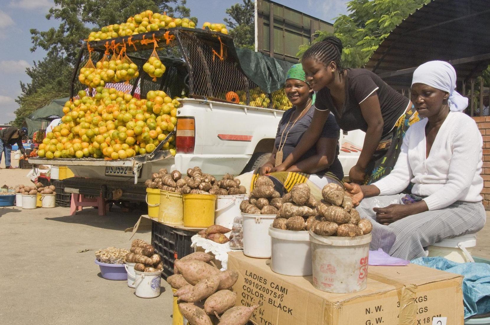 The African Continental Free Trade Area and informal cross border trade The African Continental Free Trade Area and informal cross border trade