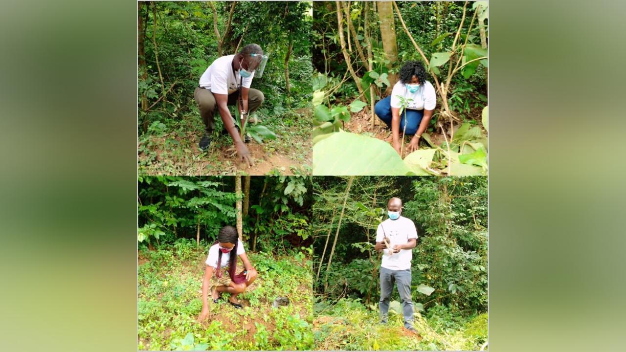 Czech Research Scientist applaud Ghana’s Tree Planting initiative Czech Research Scientist applaud Ghana’s Tree Planting initiative