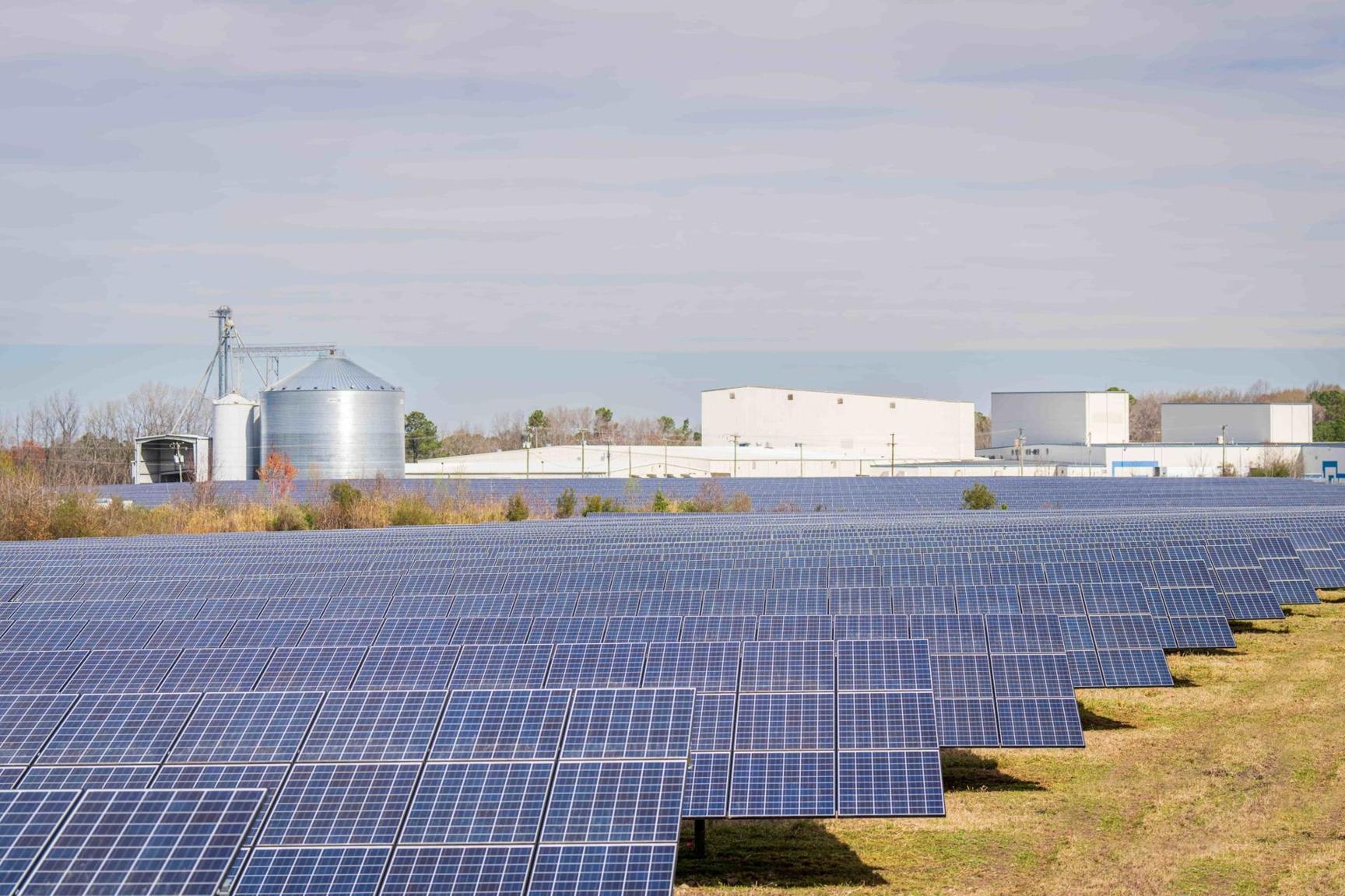 Companies urged to invest in renewable energy Companies urged to invest in renewable energy