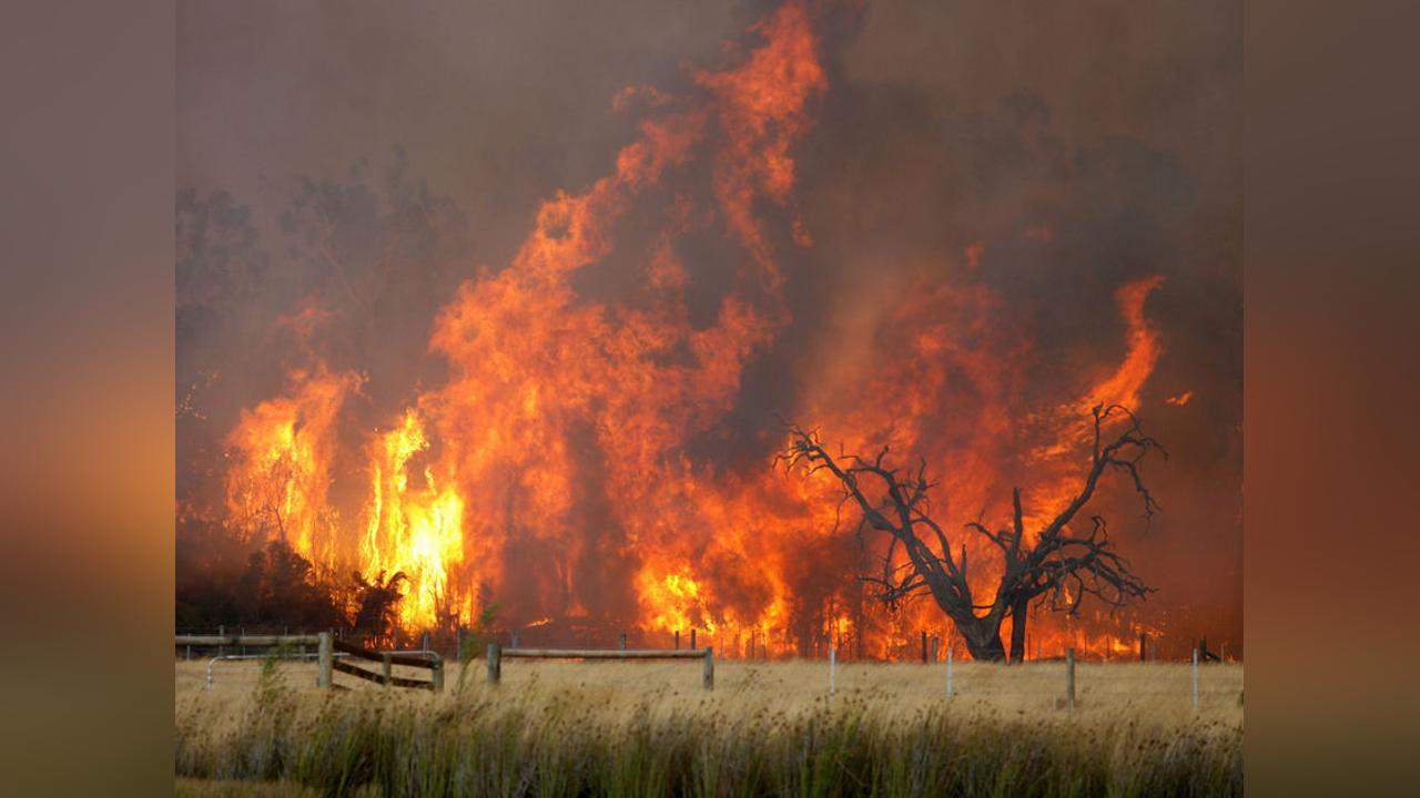 615 cases of bushfires recorded in Ghana between January and September, 2023 615 cases of bushfires recorded in Ghana between January and September, 2023