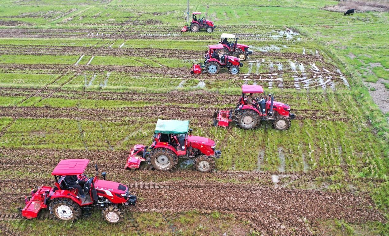 Make land purchase easier for the youth in agriculture – Agric Director Make land purchase easier for the youth in agriculture – Agric Director