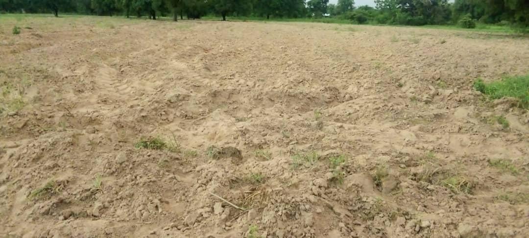 Traditional authorities asked to make lands available for local investors Traditional authorities asked to make lands available for local investors