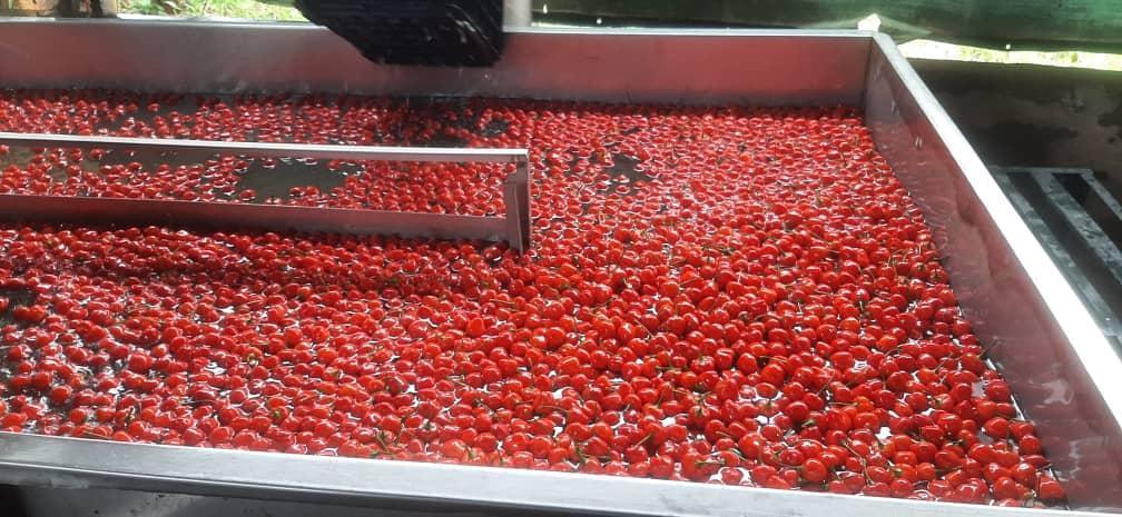 Farm-free food may help combat climate crisis – Study Farm-free food may help combat climate crisis – Study