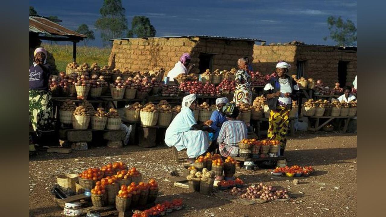 MP warns of a food crisis in January 2024 MP warns of a food crisis in January 2024